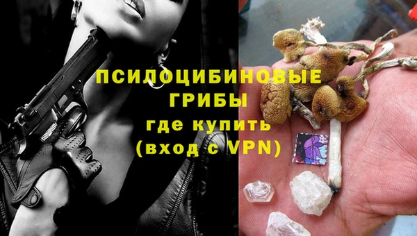 дмт Алзамай