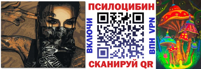 Псилоцибиновые грибы Cubensis  купить  сайты  Скопин 